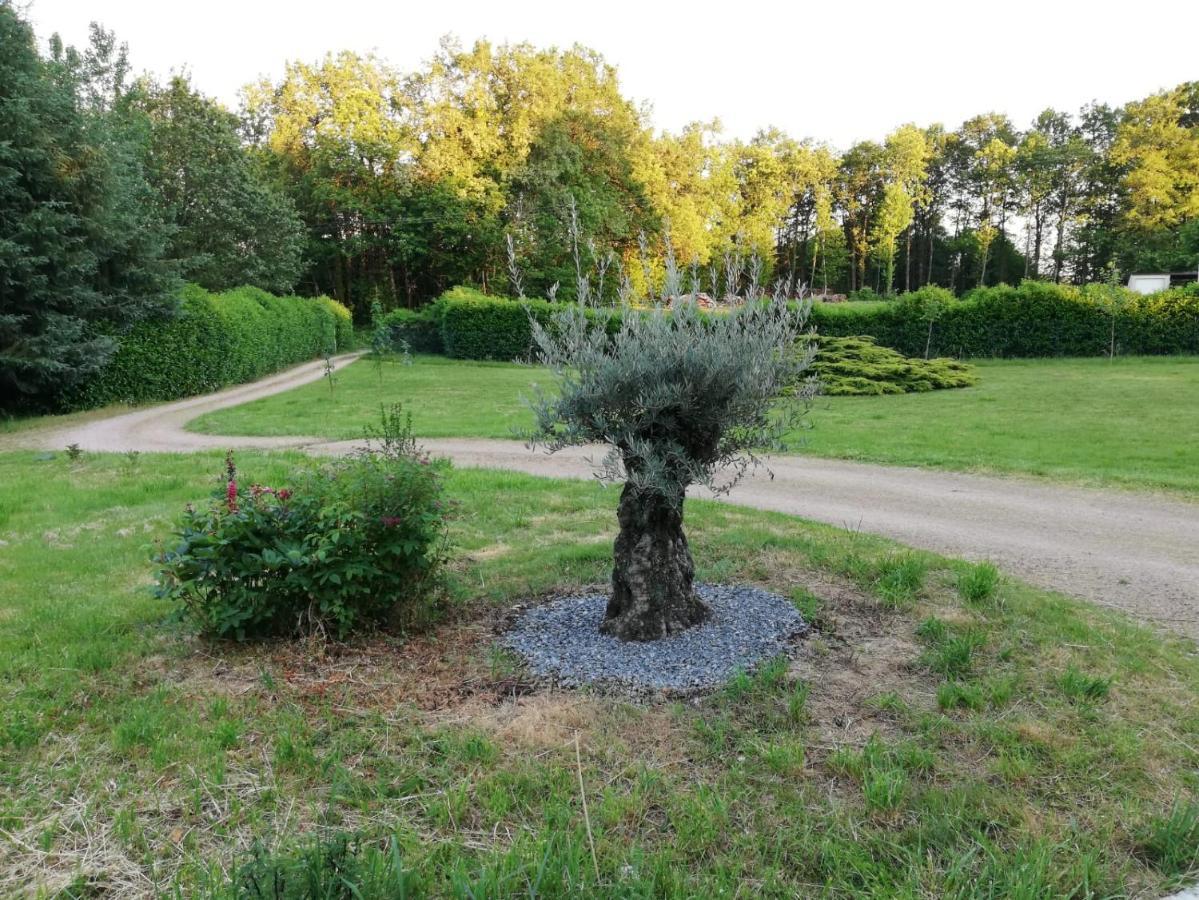 Le Gite Du Parc La Coquille Ngoại thất bức ảnh